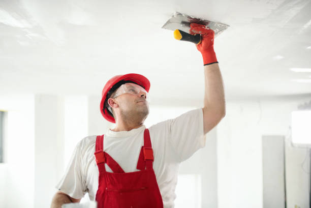 Best Drywall Texturing  in Wellsville, MO